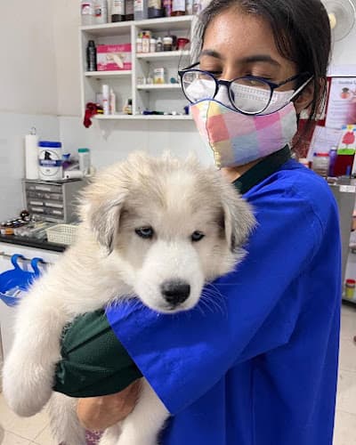 Purple Paws Pet Clinic, Dr. Aditi Chitnis
