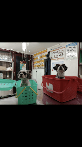 Pet's Mart Multi Speciality 24x7 Pet Hospital And Vet Lab by Dr.Kochar