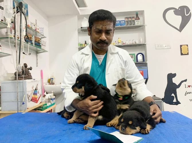 Bow N Mew Pet Clinic