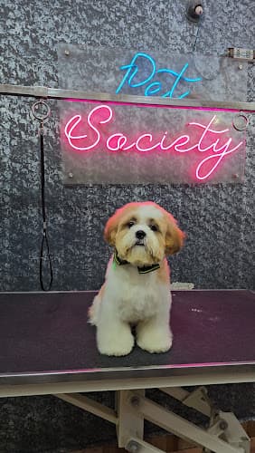 Pet Society - Pet grooming spa | Pet store