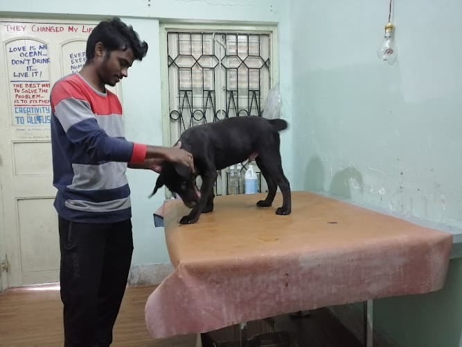 Kolkata Veterinary Clinic & Diagnostic Centre