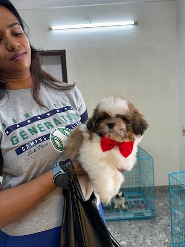 House of Paws [Pet store, Veterinary clinic & Pet grooming spa]