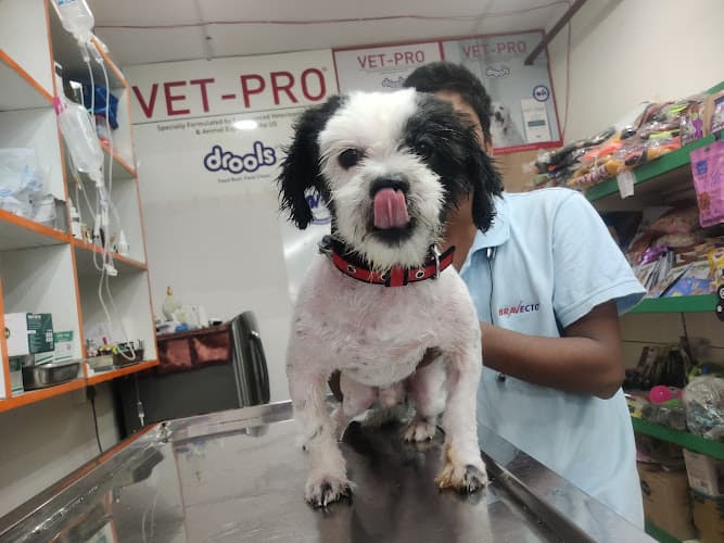 Dr Gyan Pet Clinic & Surgery Centre