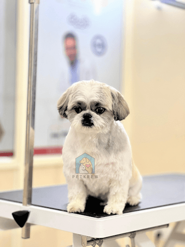 Petkrew - Pet Store, Pet Grooming & Pet Clinic | Nagarabhavi