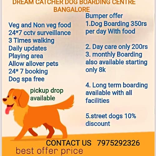 dog boarding centre