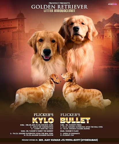 GOLDEN KENNELS
