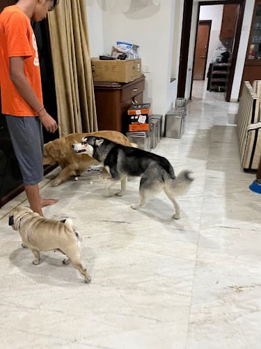 Pets Hangover Resorts - Homestay