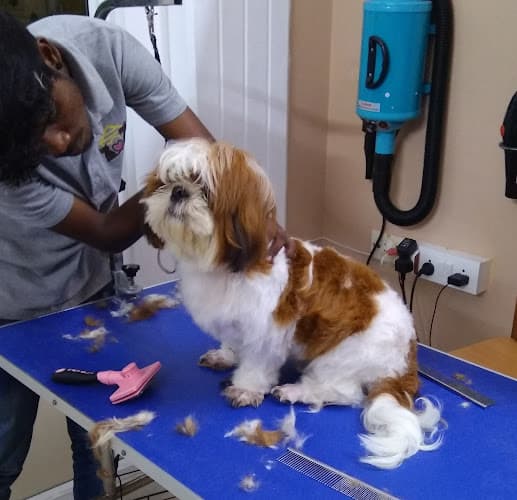 PRETTY PAWZ Pet Grooming Studio for Dogs and Cats