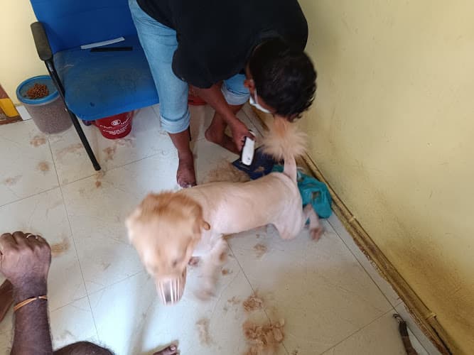 Lucky Pet Spa & Grooming