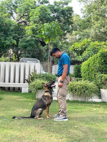 Dog training with Mohit Kumar