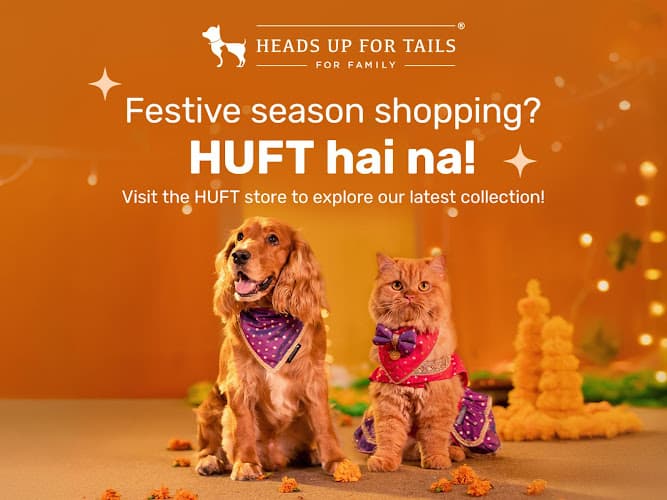 Pet Spa & Grooming by Heads Up For Tails