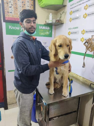 Sunshine Pet Care and Pet Clinic