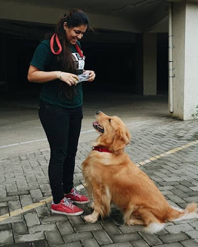 Wagg That Tail Dog Training by Varuna K