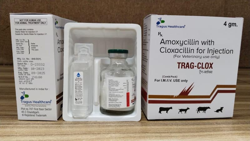Tragus Healthcare Top Veterinary Pharma Franchise / Veterinary Third Party Manufacturing of veterinary In Chandigarh