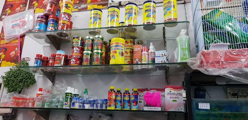 Fish Point 786 Fish Aquarium Shop in Chandigarh