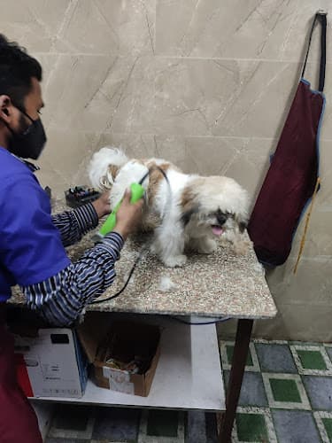 MaxPetZ Rajouri Garden