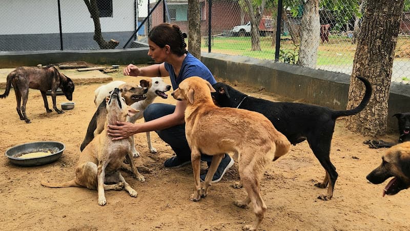 PEOPLE FOR ANIMALS (PFA) GURGAON