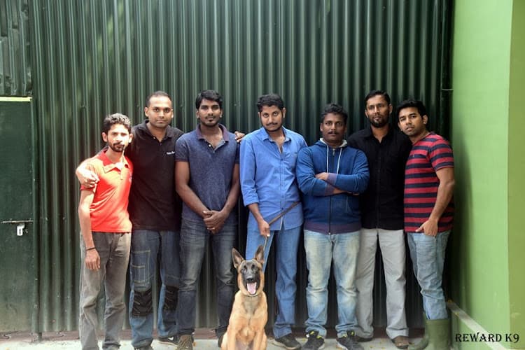 Reward K9 Dog Training Centre