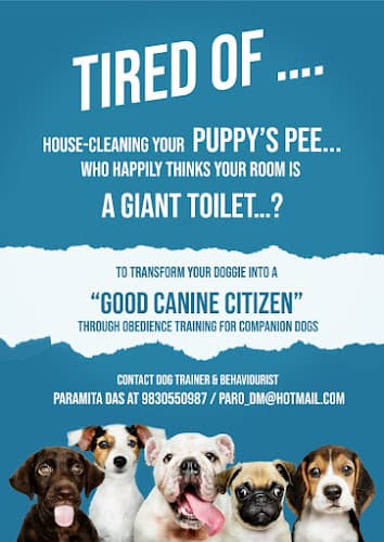 Paramita Das : Dog Trainer and Behaviorist