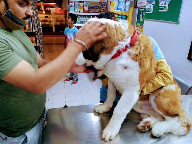 MANESAR PET CLINIC- vatika india next (Clinic & Grooming Center), MOST TRUSTED FIRST IN NEW GURGAON, Pet Clinic In New Gurgaon- Pet Surgery & Vaccination in New Gurgaon- Veterinary Clinic in New Gurgaon- Pet Accessories in New Gurgaon