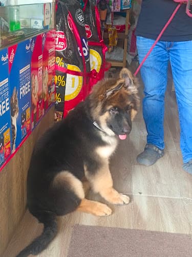 Pet Nation & Pet Grooming Shop