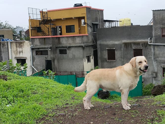 Tekawade Kennel ( SPECIAL Beagle Kennel in Maharashtra)