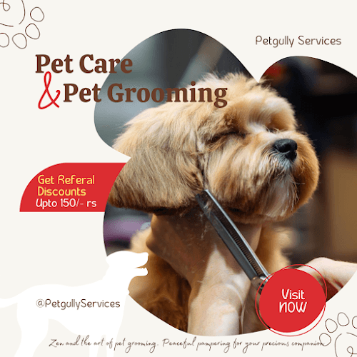 Petgully Services Spotless & Pet Grooming Solutions