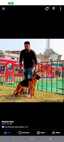 Josan dog training centre