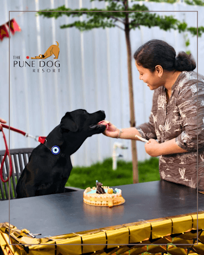 The Pune Dog Resort
