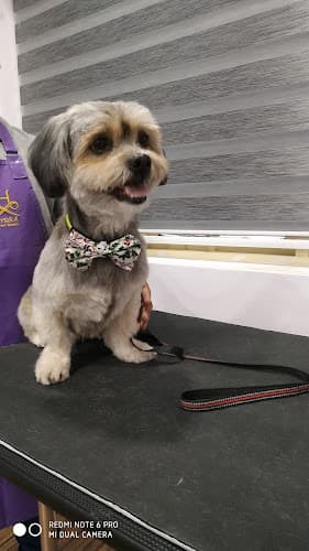 Earthypaws Pet Salon