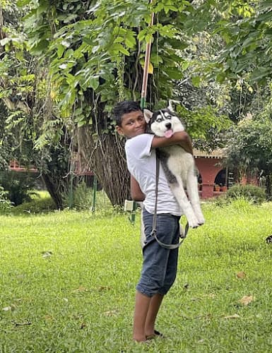 Happy Tails puppies chennai