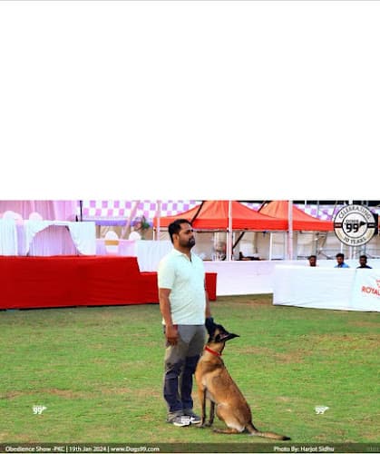 Off Leash Dog Training & Security Services (Dog Training Centre in Thane, Dog Lodging and Boarding in Thane)