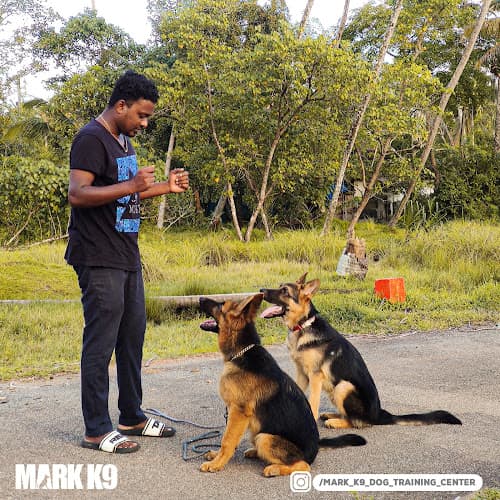 Mark K9 Dog Training Centre