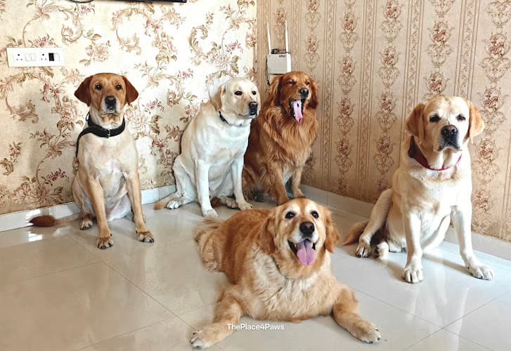 The Place 4 Paws Pet Homestay