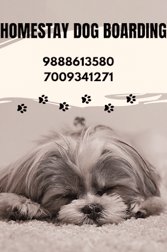 Homestay Dog Boarding