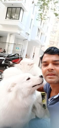 Professional Dog walker and Trainer