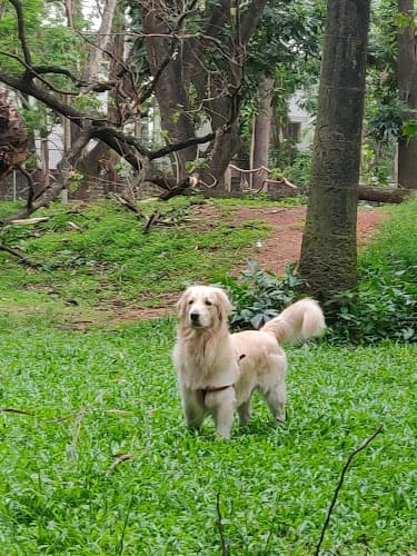 Furever Safe BnB - 2