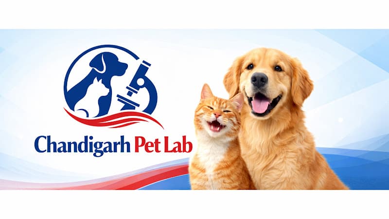 Chandigarh Pet Laboratory-Pet Blood tests, Vet Lab and Blood Bank