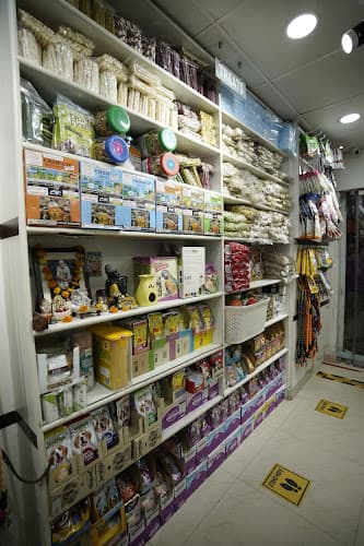 Dr Sristi Pet Well Clinic & Hospital