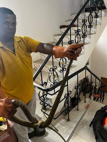 PEST CONTROL OF TAMILNADU