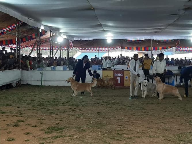 Schon K9 Dog Training Centre