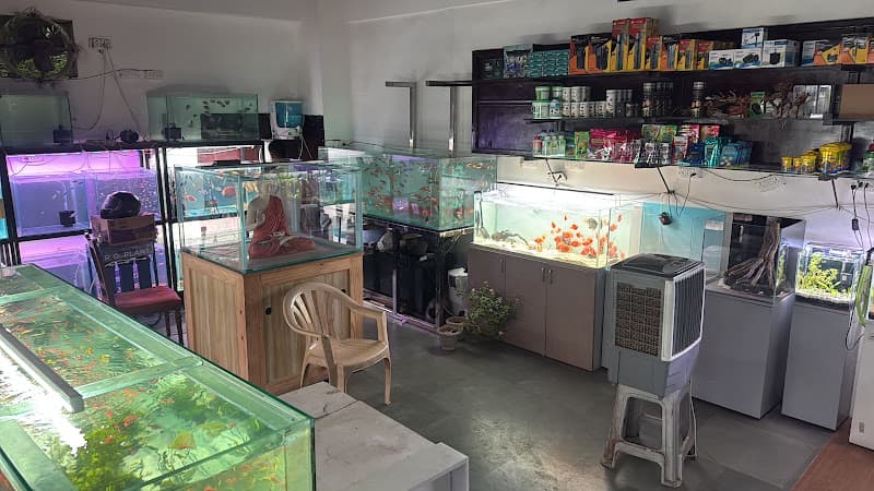 Sai Aquarium store (Best Aquarium shop)