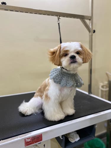 A Tiny Groomer