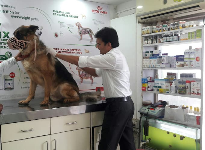 Dr.Aher's Pet Care Center