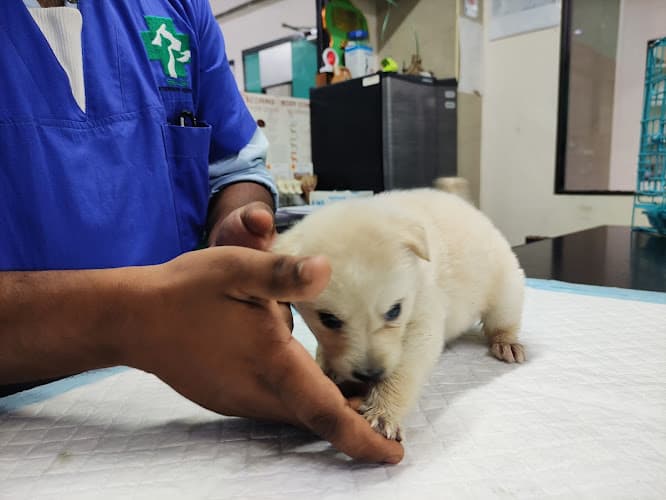 SKS veterinary hospital