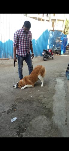 Kunal Dog Trainer_Canine Behaviourist