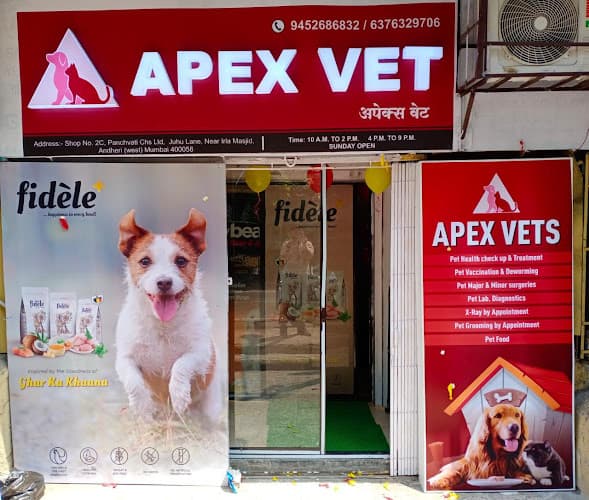 APEX VETS CLINIC