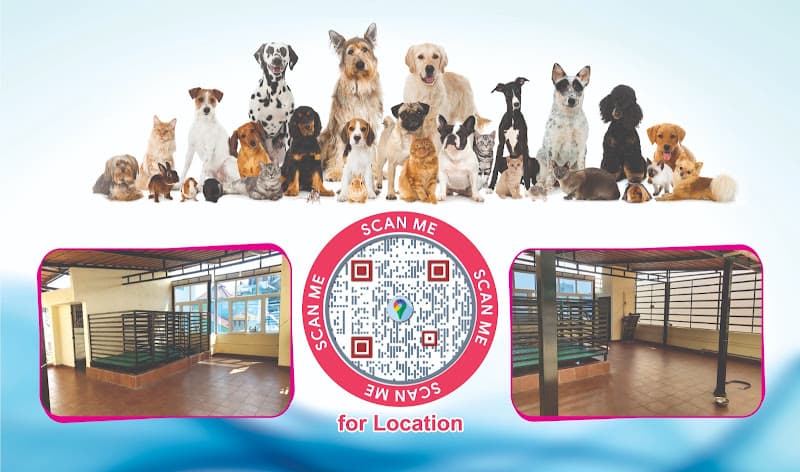 Caring Nest Pet Boarding Service