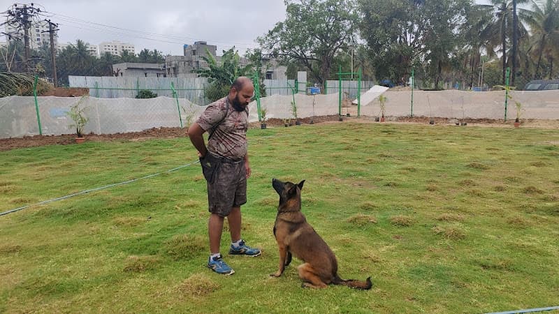 Quadrant Conditioned K9 Institute