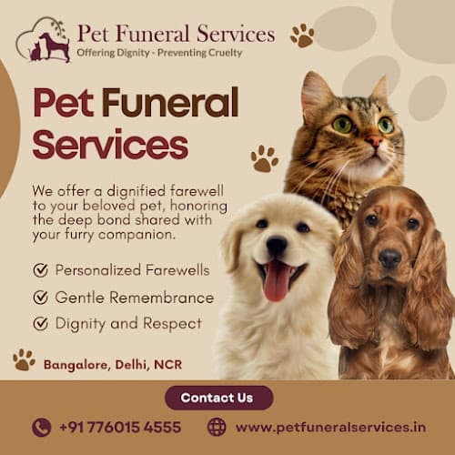 Pet Funeral Services